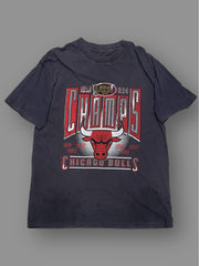 T shirt Vintage Champions Chicago Bulls tg 2XL