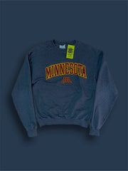 Minnesota champion sweatshirt size M