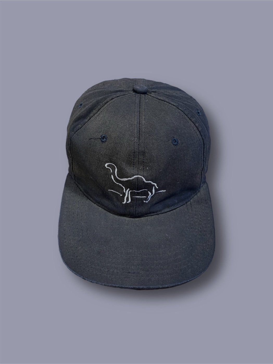Cappello Camel snapback vintage