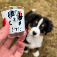 Gulleiâ„?Personalized Pet Photo Shot Glass